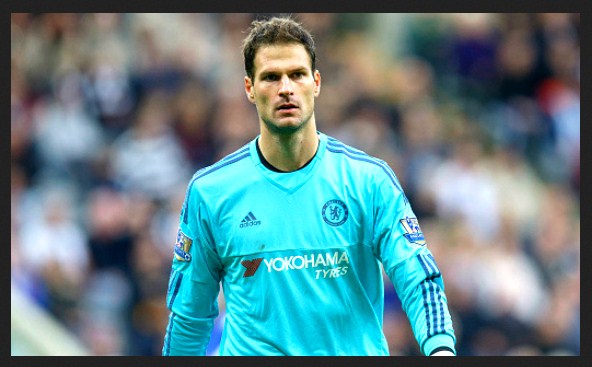 asmir begovic asmir begovic pemain islam chelsea