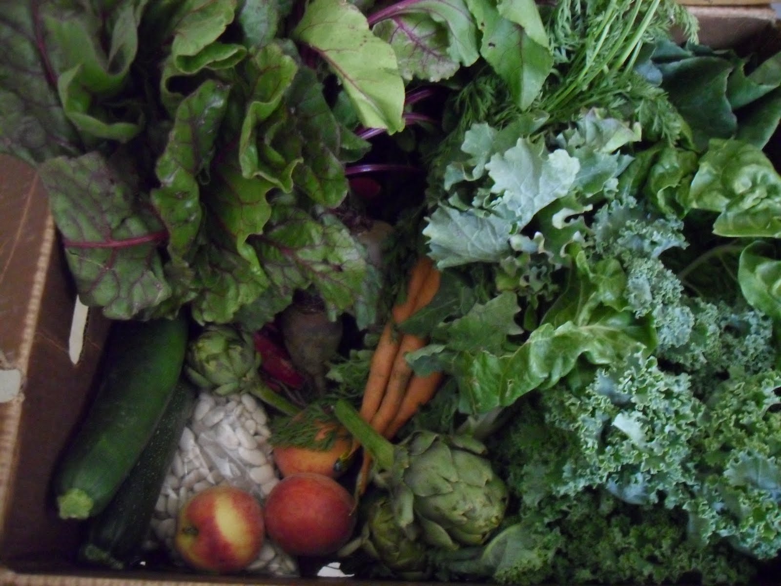 Beurskens Out Of The Box Lima Bean Veggie Burgers