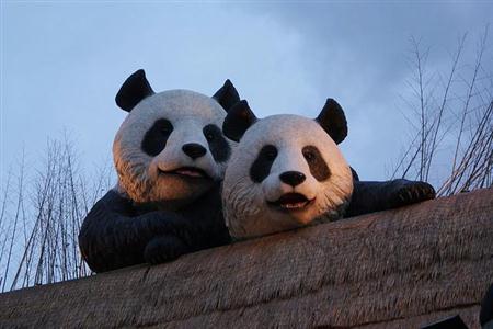 フロリダの化石ハンターが発見した1万年前の巨大なマンモスの顎