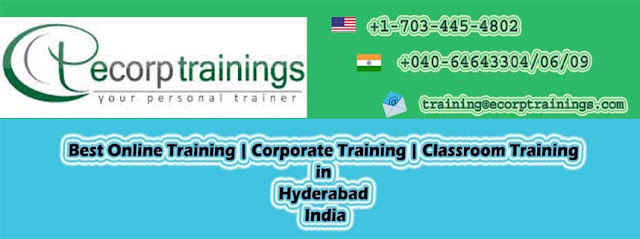 IBM Optim Training Online