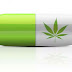 Un Nuevo Estudio Demuestra: Que el Cannabis Prolonga la Vida de los Pacientes con Cáncer Hasta Tres Veces