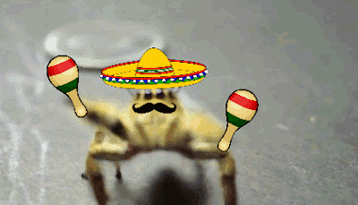 Image result for aranhas raul seixas gif