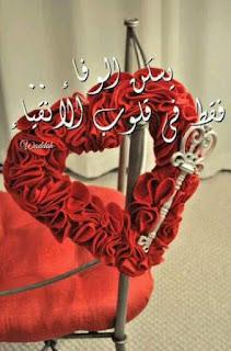 92dfa1d5e6519b419ef5f67677c3b774