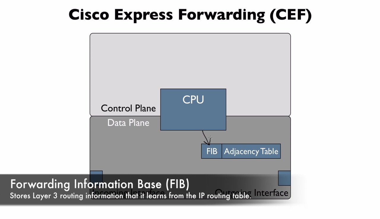 Forwarding information base