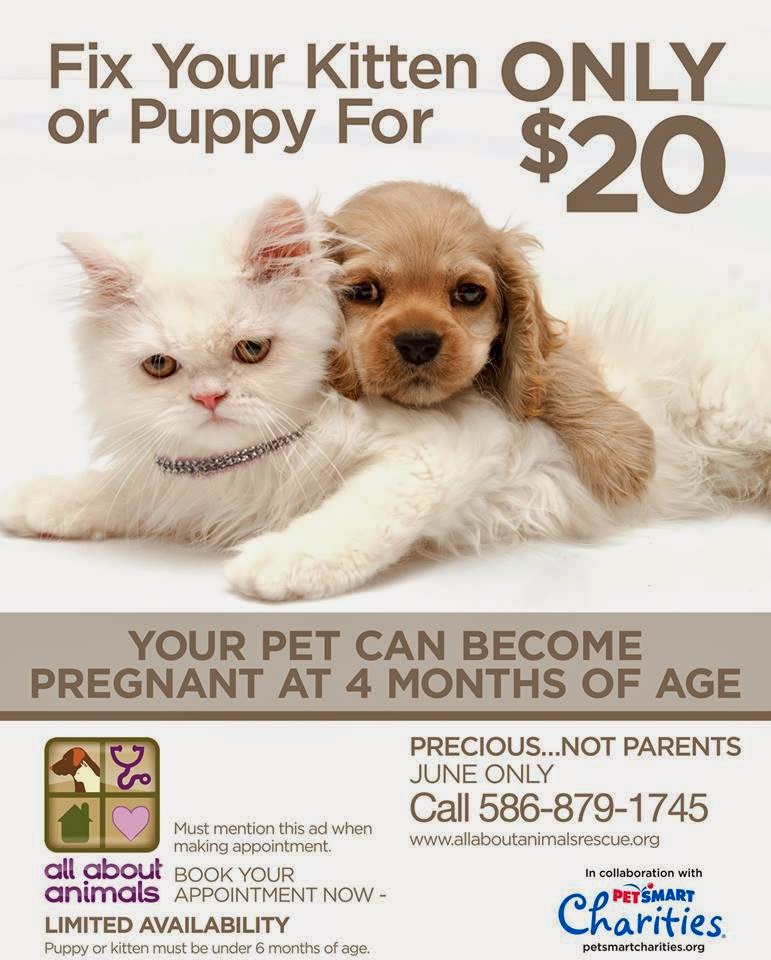 Michigan Animal Adoption Network Low cost spay and neuter clinic for