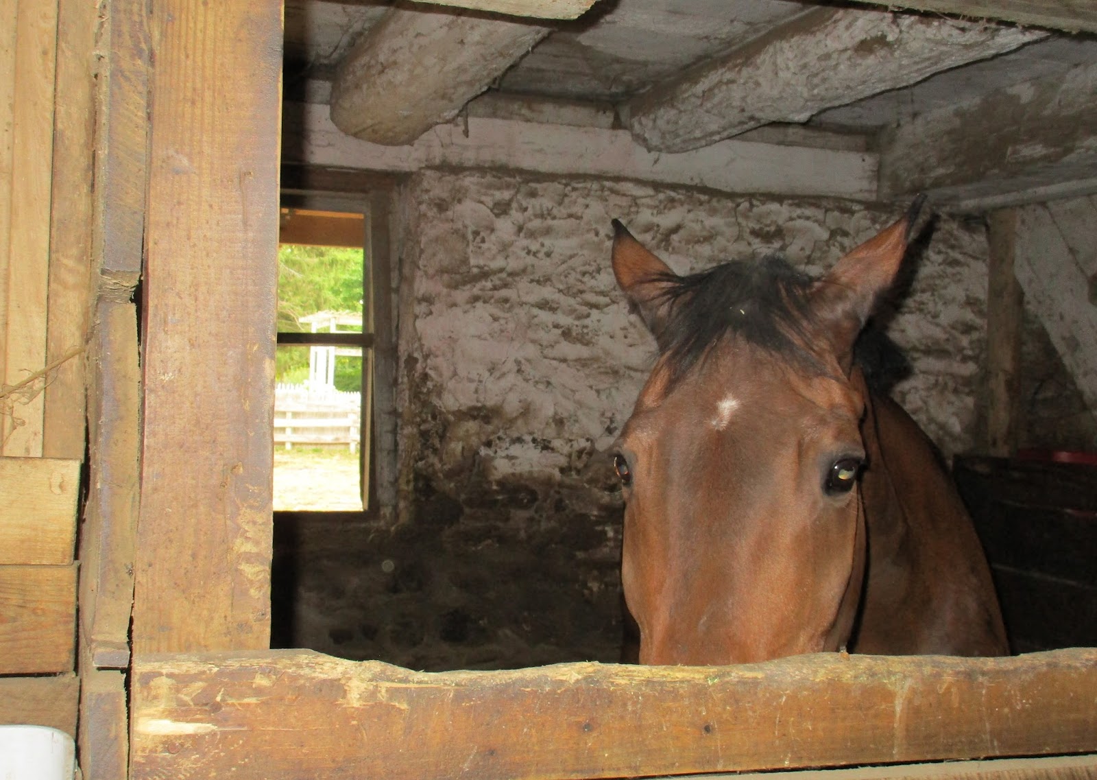 skoog journal farm barn horse window