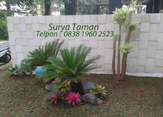 www.suryataman.com