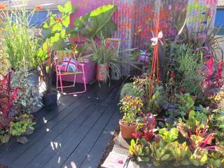 Interview with Naomi Slade Punk Garden Designer*