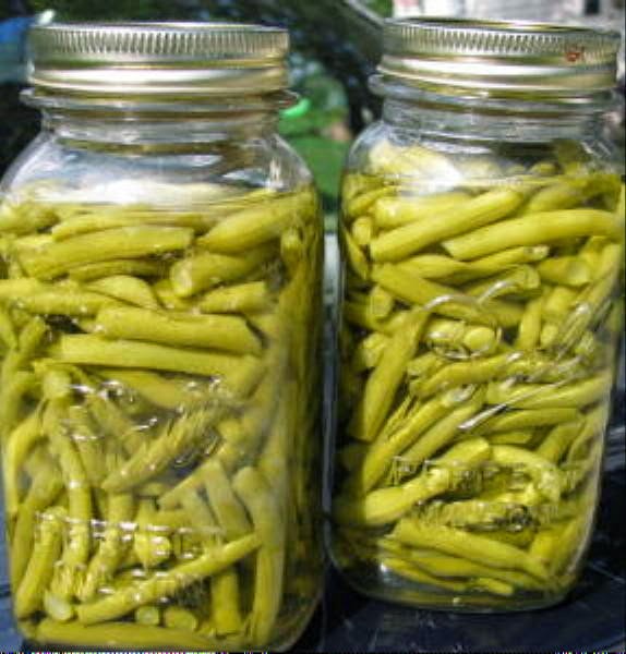 Canning Beans Water Bath 78
