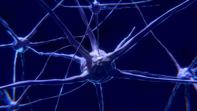 How To Subconscious Mind Work How To Subconscious Mind Work