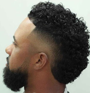 Thick Curly Hairs for Black men Thick Curly Hairs for Black men
