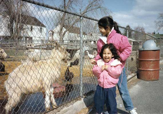 Teasing, feeding or disturbing the animals in a zoo is an offence punishable by a fine of Rs. 25000 or imprisonment of up to three years or both. Section 38J, Wildlife (Protection) Act, 1972 lawescort