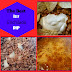 The Best Beef Enchilada Dip