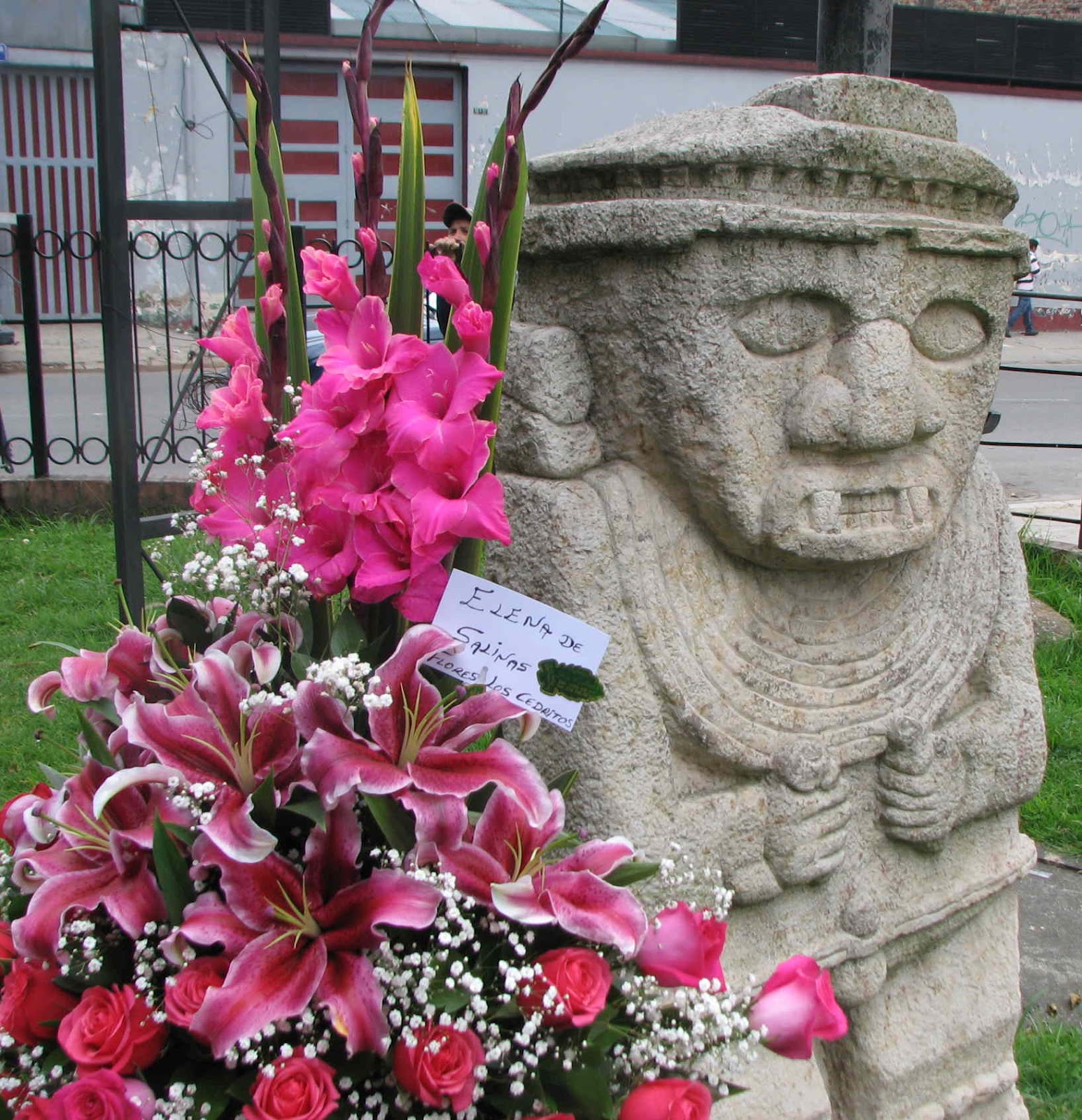 Mike's Bogota Blog A Fascination With Flowers