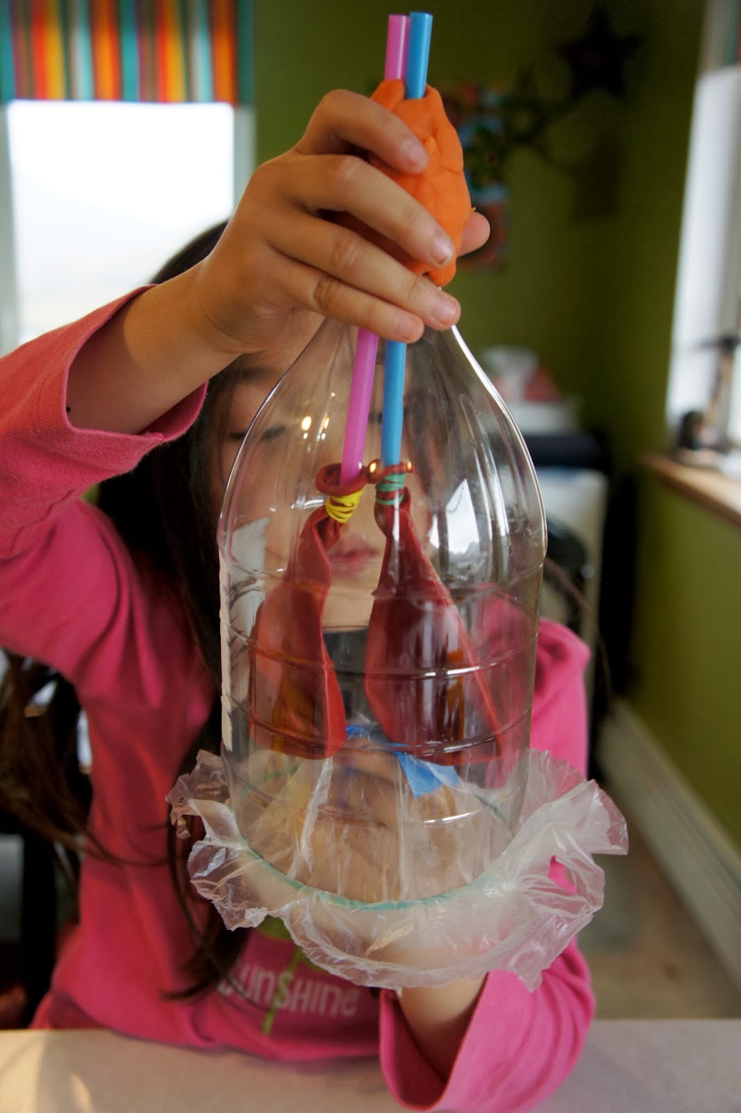 Relaxed homeschooling, lungs, and blood...What Fun!