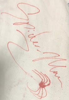 Spiderman Autograph Disney Parks