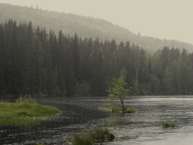Tjärn i Dalarna vid stenberget, nyhammar Gasenberget