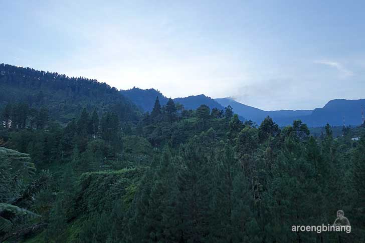 hotel sankita guci tegal