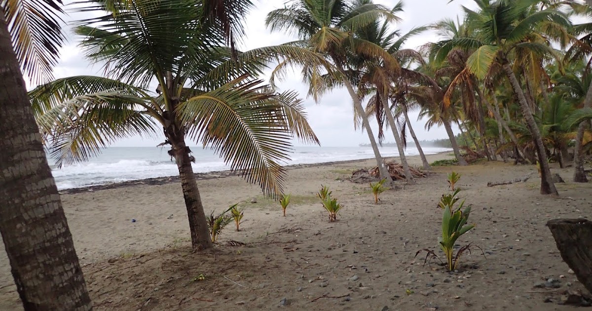 Things we did today...: Fire En La Playa!