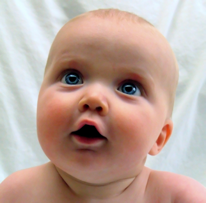 Porque os bebês nascem com olhos