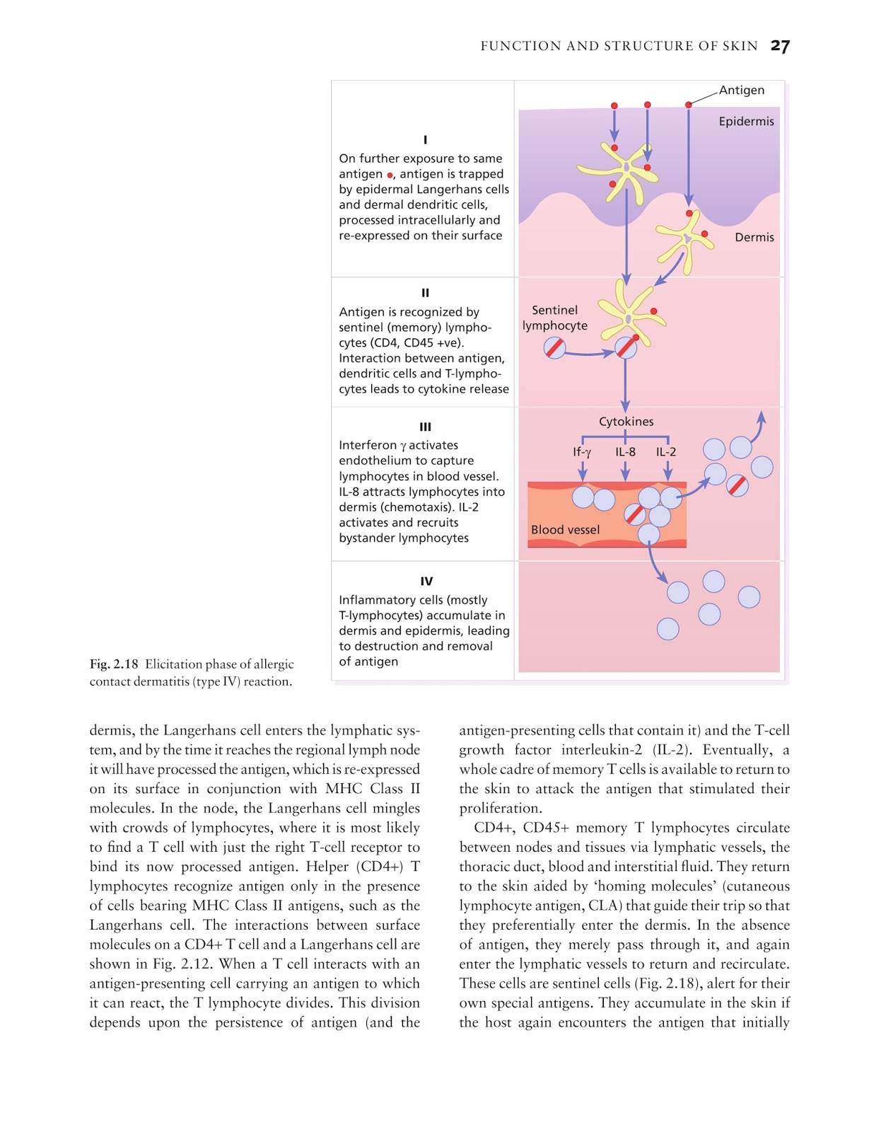 156-215.81 PDF