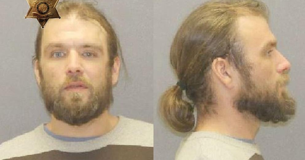 Wellsville Regional News (dot) com Woodhull man arrested on I390