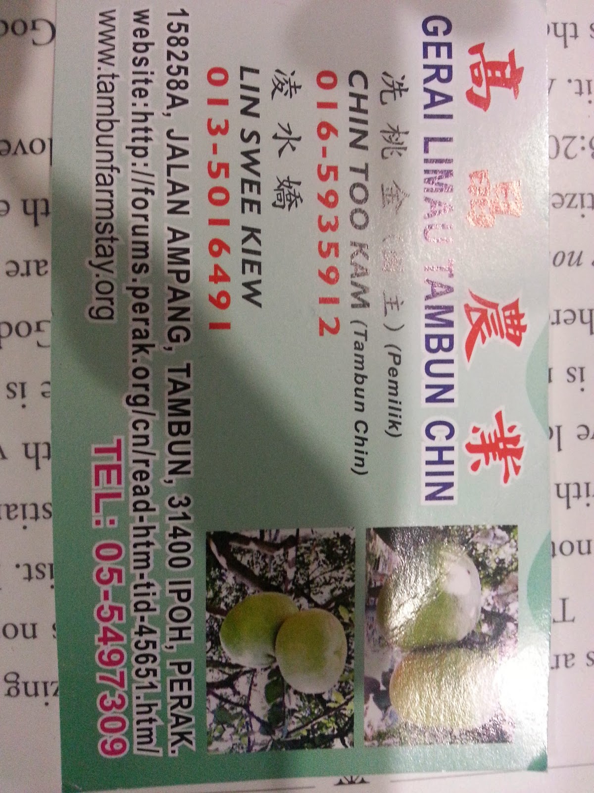 Family Camp 2014 Metro Tabernacle Best Tambun Pomelo Farm Visit