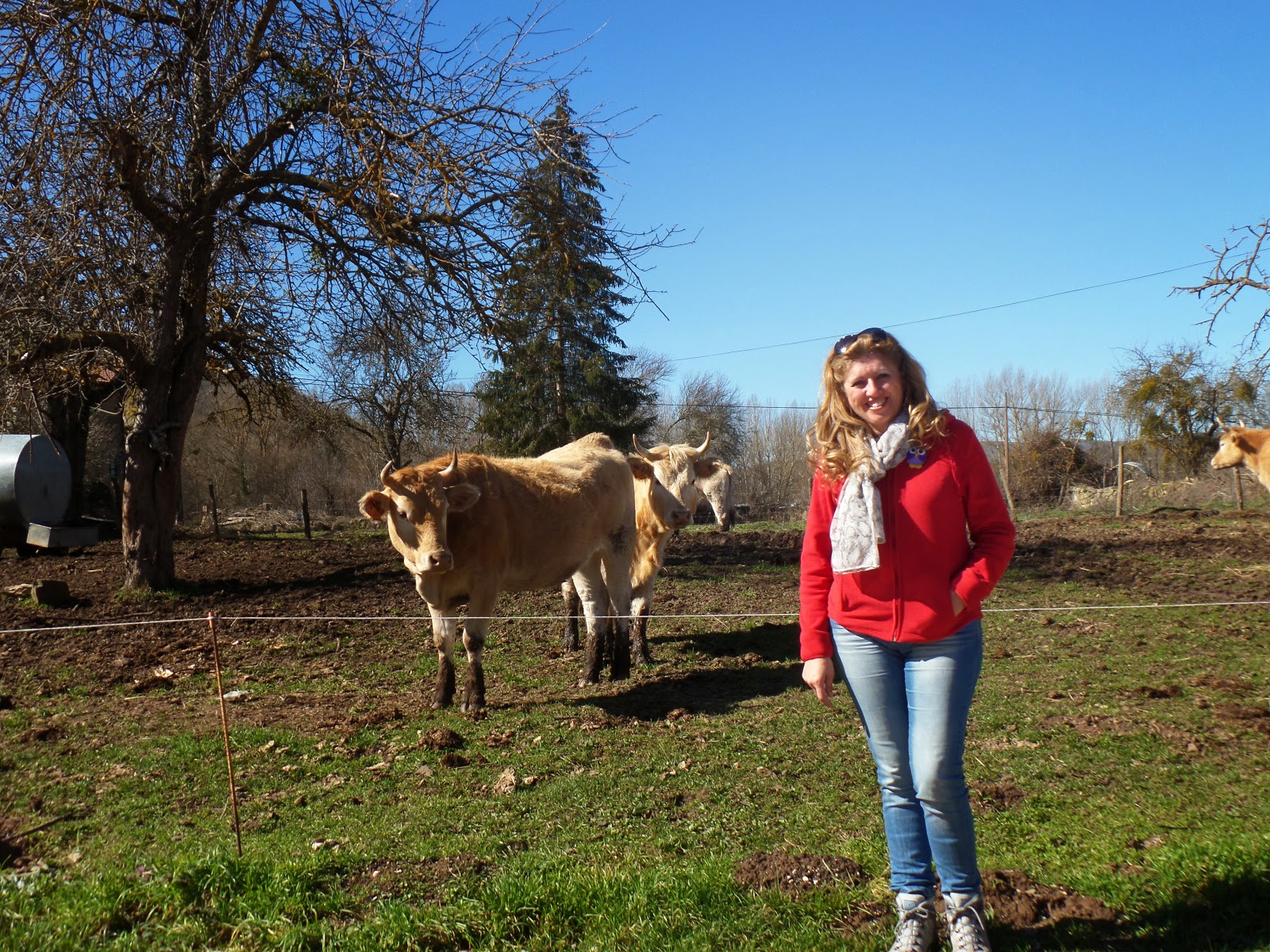 El Blog de María Serralba - Diario de ruta palentina