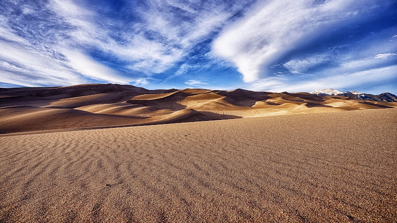 In the Sand Dunes