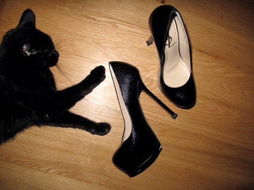 Zapatos para la oficina | Calzado de Moda Zapatos para la oficina | Calzado de Moda