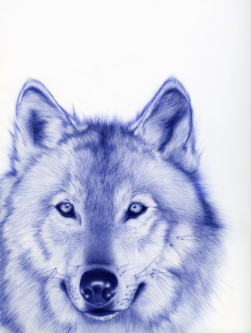 17-Wolf-Sarah-Esteje-ABADIDABOU-Hyper-realistic-Ballpoint-Pen-Animals-www-designstack-co