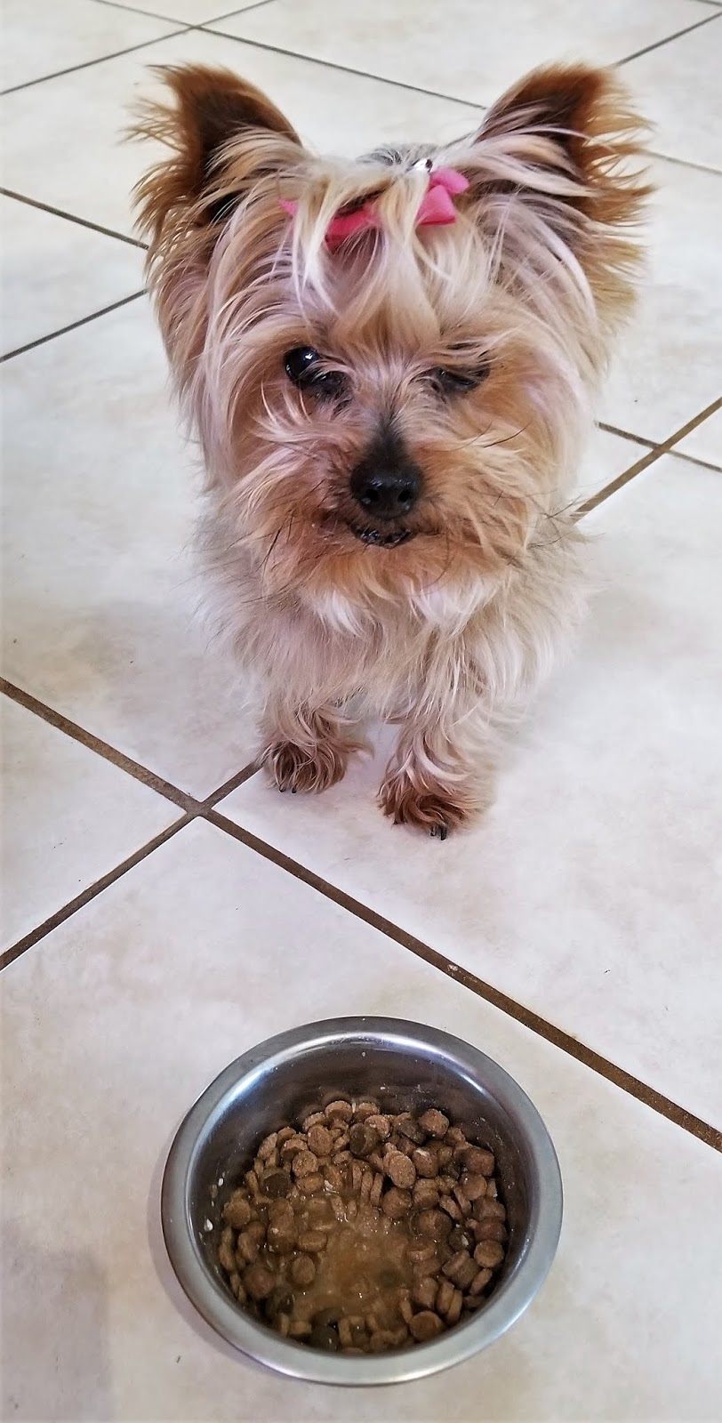 Frugal Shopping and More Castor & Pollux PRISTINE GrainFree GrassFed