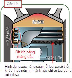 Tác dụng rất lợi hại của nhớt mà có thể bạn chưa biết Tác dụng rất lợi hại của nhớt mà có thể bạn chưa biết
