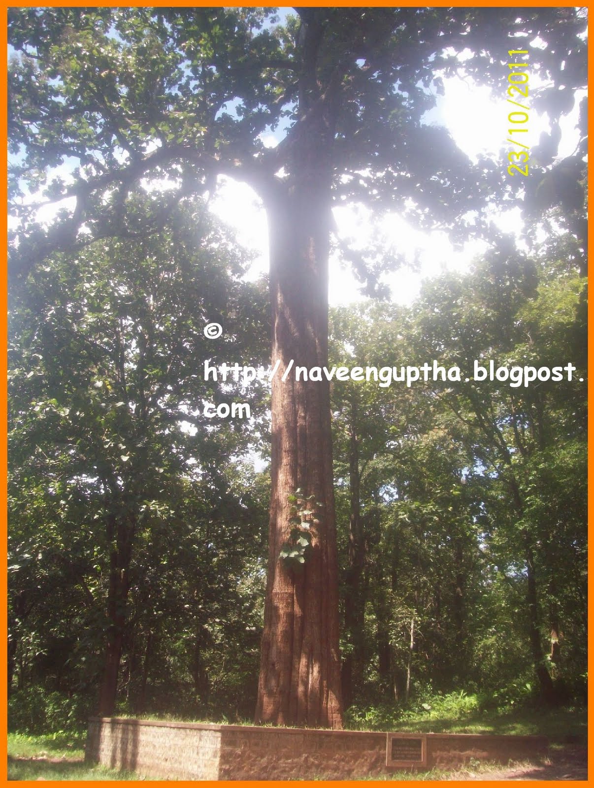 Exploring South India Travel blog..... TopslipParambikulam Road trip