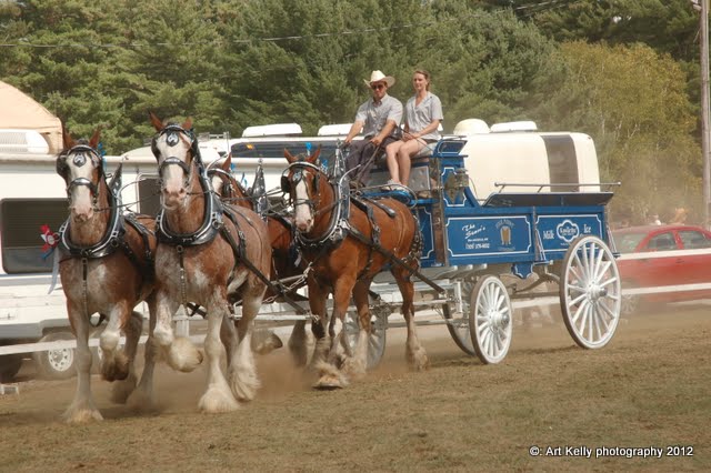 Living Off Grid - 45.05 N, 77.85 W: KINMOUNT FAIR - HORSE SHOW