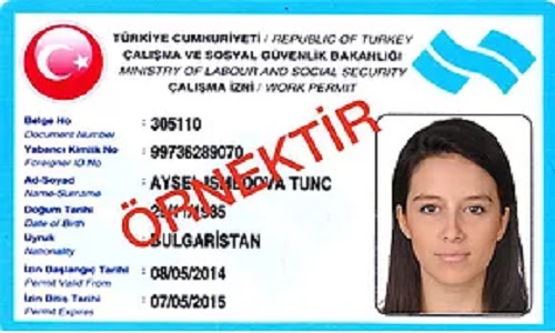 Çalışma izni çalışma izni nasıl alınır ev hizmetlerinde çalışma çocuk hasta bakıcısı Çalışma izni çalışma izni nasıl alınır ev hizmetlerinde çalışma çocuk hasta bakıcısı