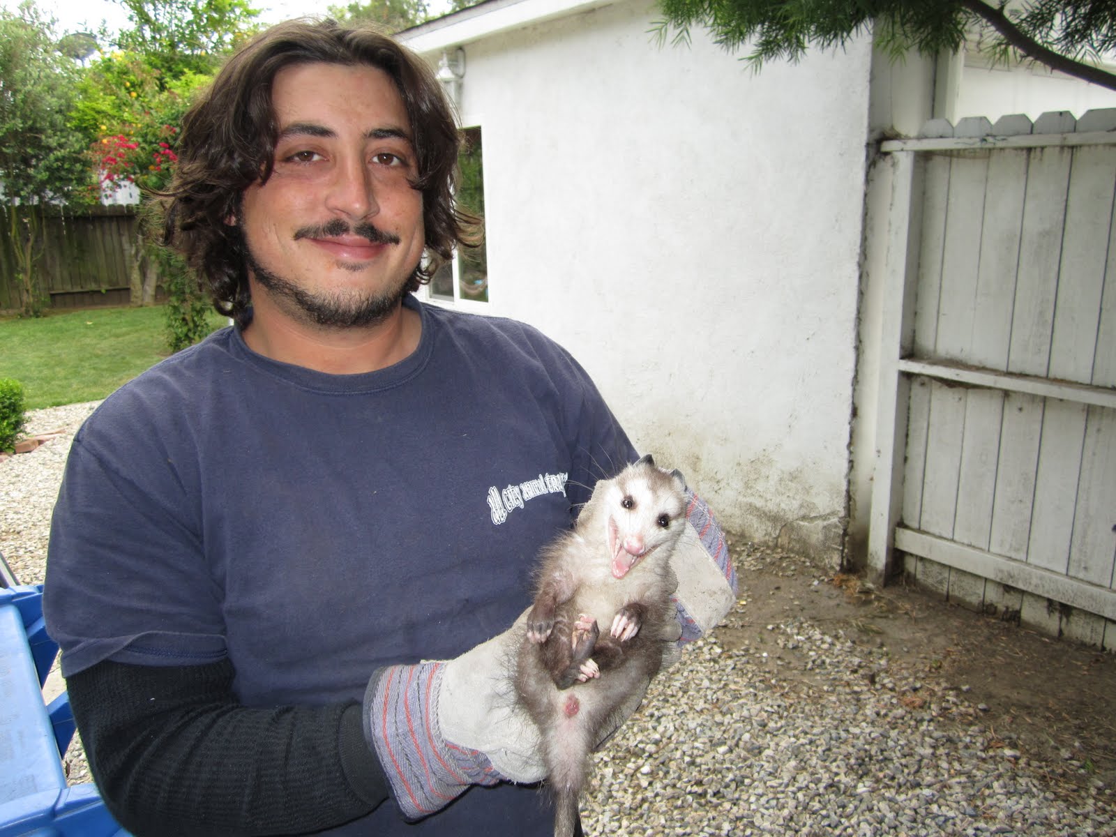 All City Animal Trapping All City Animal Trapping, Humane, Live Animal