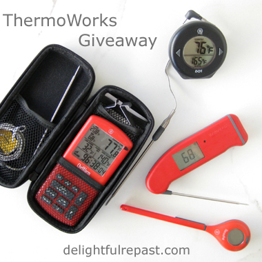ThermoWorks Giveaway / www.delightfulrepast.com