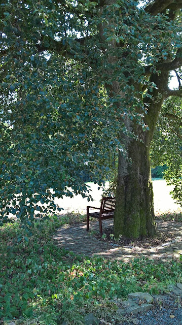 Qigong in Stille Qigong Meditationsplatz
