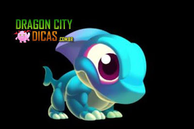 Dragão Cityshark Dragão Cityshark