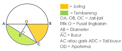 Pengertian dan Unsur-unsur Lingkaran Lengkap dengan Penjelasannya Pengertian dan Unsur-unsur Lingkaran Lengkap dengan Penjelasannya