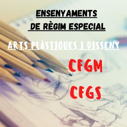 CFGM- CFGS ENSENYANCES DE RÈGIM ESPECIAL CV