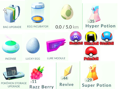  Fungsi dan Kegunaan All Item Pokemon GO 