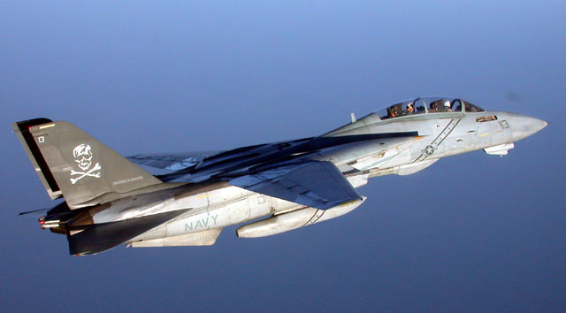 large scale f 14 model