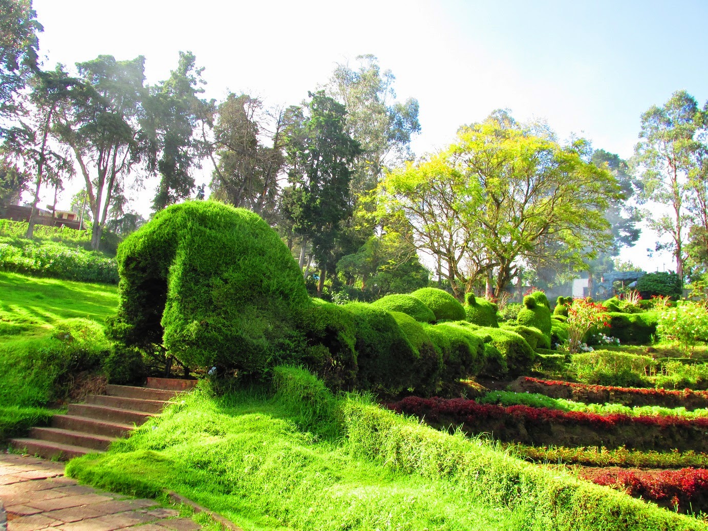 Chettiar Park Kodaikanal
