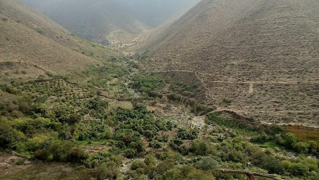 Chihuitama