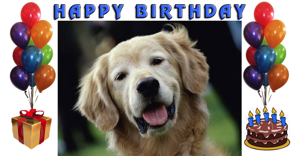 Cute dog with picture, birthday celebration card