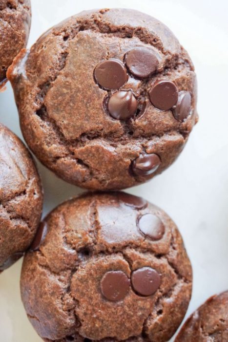 Chocolate Chip Muffin Chocolate Chip Muffin