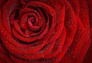 Sweet Images for WhatsApp Profile Sweet Images for WhatsApp Profile