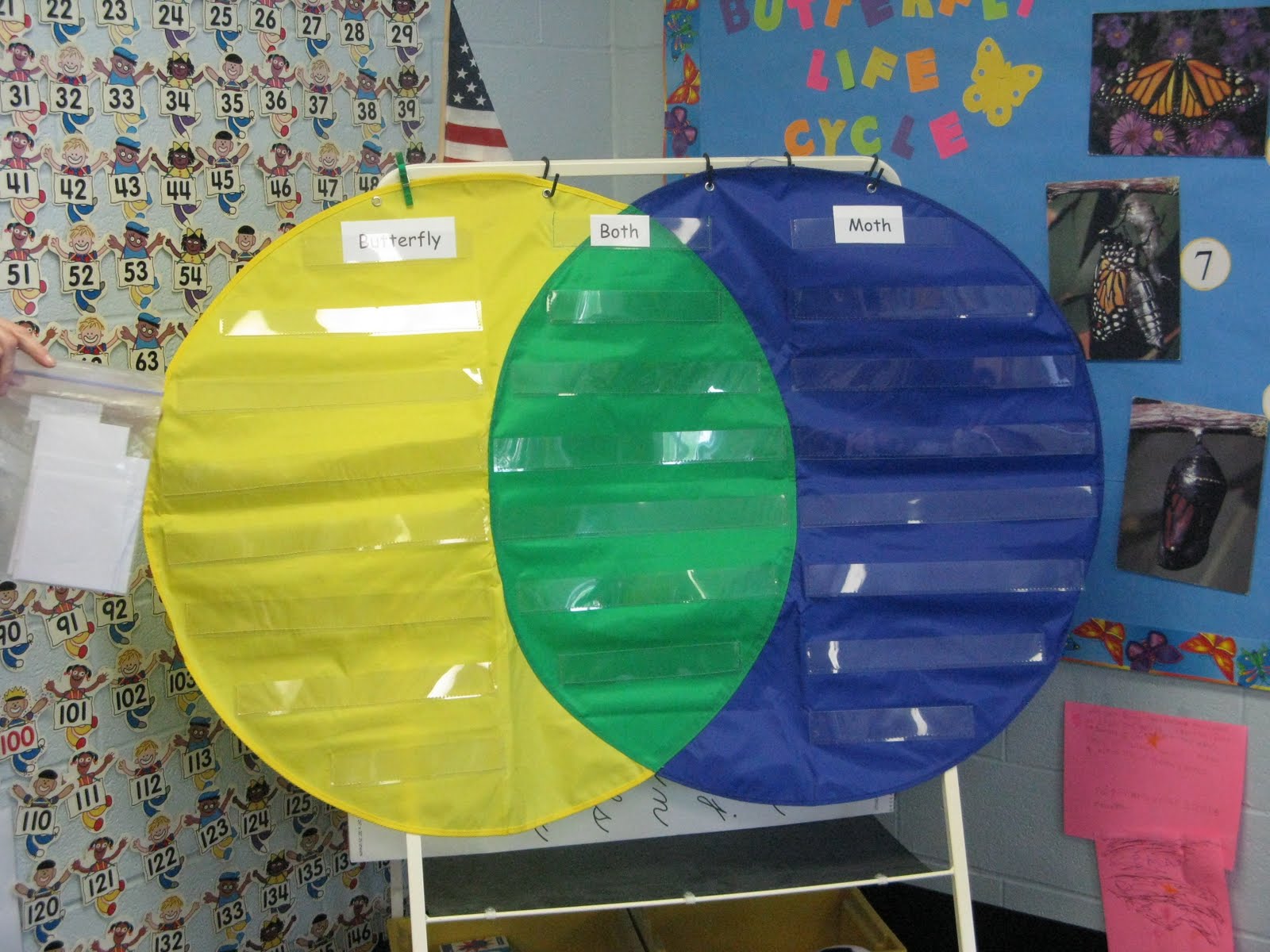 NEWS FROM THE PRE-K "A" PAD: BUTTERFLY/MOTH VENN DIAGRAM